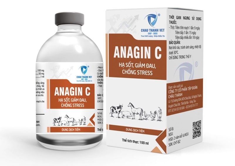 Sử dụng thuốc Anagin C điều trị gà đá thở nhiều đem lại hiệu quả tức thì